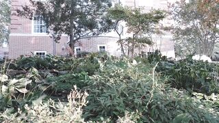 Amaimaiofficial (Mai) OnlyFans Leaks Smol Erotic Cosplayers with Big Perv 230