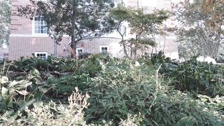 Amaimaiofficial (Mai) OnlyFans Leaks Smol Erotic Cosplayers with Big Perv 230