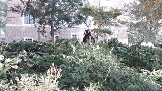 Amaimaiofficial (Mai) OnlyFans Leaks Smol Erotic Cosplayers with Big Perv 230