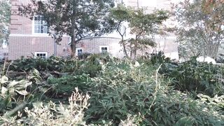 Amaimaiofficial (Mai) OnlyFans Leaks Smol Erotic Cosplayers with Big Perv 230