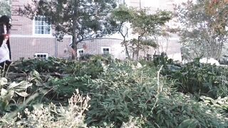 Amaimaiofficial (Mai) OnlyFans Leaks Smol Erotic Cosplayers with Big Perv 230