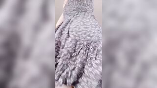 Amaimaiofficial (Mai) OnlyFans Leaks Smol Erotic Cosplayers with Big Perv 333