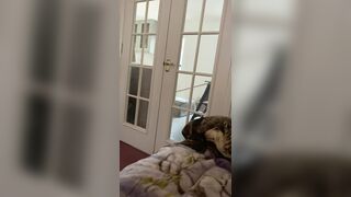 Charlieerose3 (Ex British Cop) OnlyFans Leaks turned into MILF 517