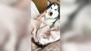 Charlieerose3 (Ex British Cop) OnlyFans Leaks turned into MILF 641