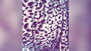 Jocibaker (Jocelyn Baker) OnlyFans Leaks 36DDDs Typical Mom Next Door 187