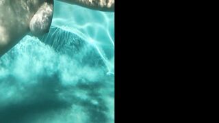 Jocibaker (Jocelyn Baker) OnlyFans Leaks 36DDDs Typical Mom Next Door 215