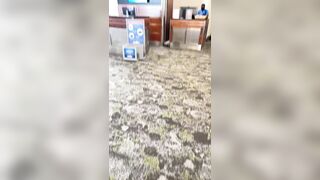 Melrosemichaels (MelRose Michaels) OnlyFans Leaks Nashville Tennessee Girl 314