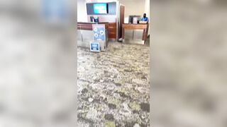 Melrosemichaels (MelRose Michaels) OnlyFans Leaks Nashville Tennessee Girl 314