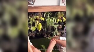 Melrosemichaels (MelRose Michaels) OnlyFans Leaks Nashville Tennessee Girl 242