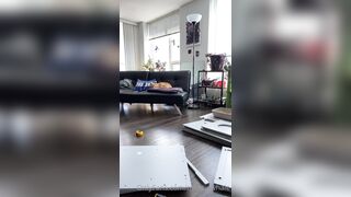 Melthewhale (Mel) OnlyFans Leaks Candian Microbiology Student 151