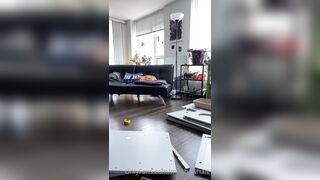 Melthewhale (Mel) OnlyFans Leaks Candian Microbiology Student 151