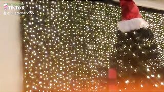 Shunli__mei Asian OnlyFans Leaks Premium Porn Video 2