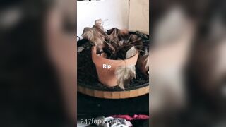 Joanna Asian Amateur school Girl Leaks Sex Porn Video 33