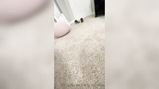 Coziebae (Comfiecozie aka Riya Lyn) OnlyFans Leaks Total Natural Hottie with juicy ass 84