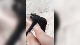 Milkimind OnlyFans Leaks 19 yo Nerdy Slut is always horny 191