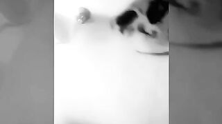 Mspamelia (Pamelia) OnlyFans Leaks Aussie 36K All Natural X rated 61