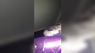 Mspamelia (Pamelia) OnlyFans Leaks Aussie 36K All Natural X rated 116