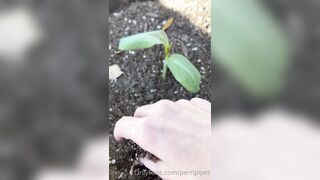 Perripiper (Piper Perri) OnlyFans Leaks bubblegum and lollipops lovers 26