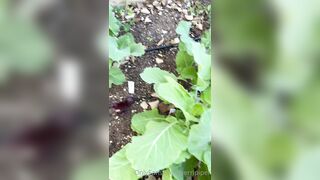 Perripiper (Piper Perri) OnlyFans Leaks bubblegum and lollipops lovers 26