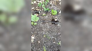 Perripiper (Piper Perri) OnlyFans Leaks bubblegum and lollipops lovers 26