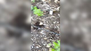 Perripiper (Piper Perri) OnlyFans Leaks bubblegum and lollipops lovers 26