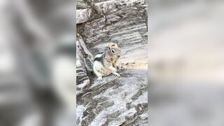 Perripiper (Piper Perri) OnlyFans Leaks bubblegum and lollipops lovers 40