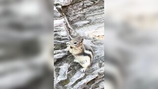 Perripiper (Piper Perri) OnlyFans Leaks bubblegum and lollipops lovers 40