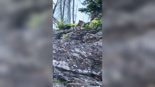 Perripiper (Piper Perri) OnlyFans Leaks bubblegum and lollipops lovers 40