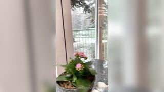 Perripiper (Piper Perri) OnlyFans Leaks bubblegum and lollipops lovers 82