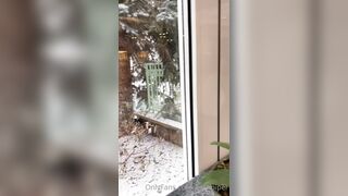 Perripiper (Piper Perri) OnlyFans Leaks bubblegum and lollipops lovers 82