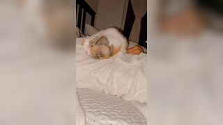 Sandyinlace (Sandy InLace) OnlyFans Leaks Quirky and Unconventionally Top OF Creator 78