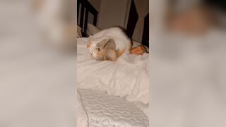 Sandyinlace (Sandy InLace) OnlyFans Leaks Quirky and Unconventionally Top OF Creator 78