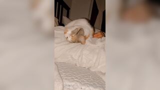 Sandyinlace (Sandy InLace) OnlyFans Leaks Quirky and Unconventionally Top OF Creator 78