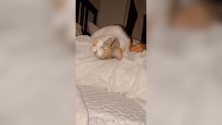 Sandyinlace (Sandy InLace) OnlyFans Leaks Quirky and Unconventionally Top OF Creator 78