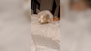 Sandyinlace (Sandy InLace) OnlyFans Leaks Quirky and Unconventionally Top OF Creator 78