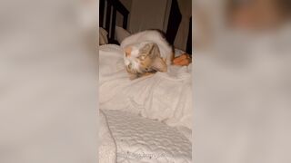 Sandyinlace (Sandy InLace) OnlyFans Leaks Quirky and Unconventionally Top OF Creator 78