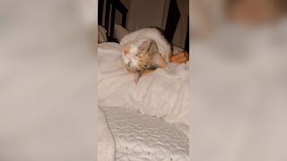 Sandyinlace (Sandy InLace) OnlyFans Leaks Quirky and Unconventionally Top OF Creator 78