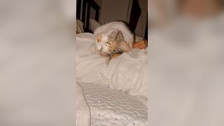 Sandyinlace (Sandy InLace) OnlyFans Leaks Quirky and Unconventionally Top OF Creator 78