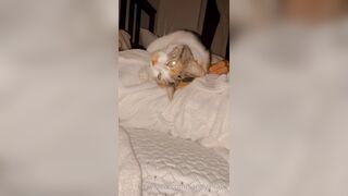 Sandyinlace (Sandy InLace) OnlyFans Leaks Quirky and Unconventionally Top OF Creator 78