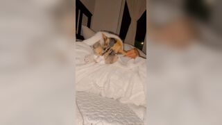 Sandyinlace (Sandy InLace) OnlyFans Leaks Quirky and Unconventionally Top OF Creator 78