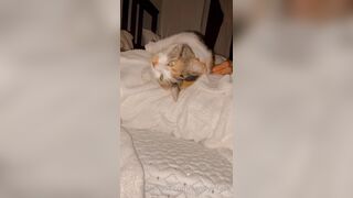 Sandyinlace (Sandy InLace) OnlyFans Leaks Quirky and Unconventionally Top OF Creator 78