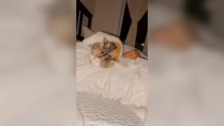 Sandyinlace (Sandy InLace) OnlyFans Leaks Quirky and Unconventionally Top OF Creator 78