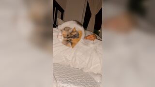 Sandyinlace (Sandy InLace) OnlyFans Leaks Quirky and Unconventionally Top OF Creator 78