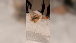 Sandyinlace (Sandy InLace) OnlyFans Leaks Quirky and Unconventionally Top OF Creator 78