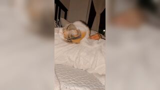 Sandyinlace (Sandy InLace) OnlyFans Leaks Quirky and Unconventionally Top OF Creator 78