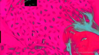 Sandyinlace (Sandy InLace) OnlyFans Leaks Quirky and Unconventionally Top OF Creator 241