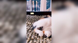 Sandyinlace (Sandy InLace) OnlyFans Leaks Quirky and Unconventionally Top OF Creator 226