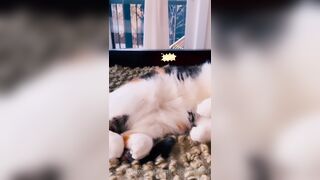 Sandyinlace (Sandy InLace) OnlyFans Leaks Quirky and Unconventionally Top OF Creator 226