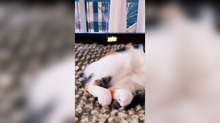 Sandyinlace (Sandy InLace) OnlyFans Leaks Quirky and Unconventionally Top OF Creator 226