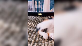 Sandyinlace (Sandy InLace) OnlyFans Leaks Quirky and Unconventionally Top OF Creator 226